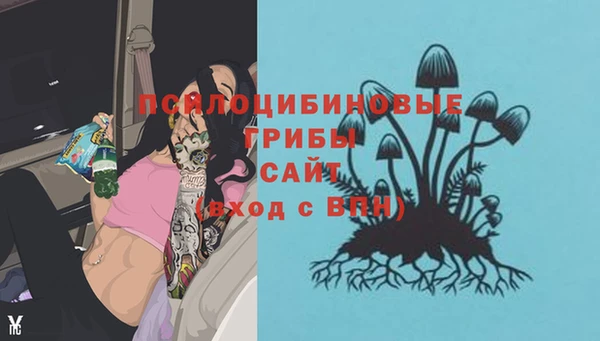 mix Сосновоборск