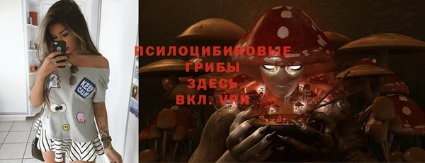 mix Сосновоборск