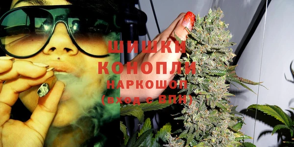 Альфа ПВП Сосновка