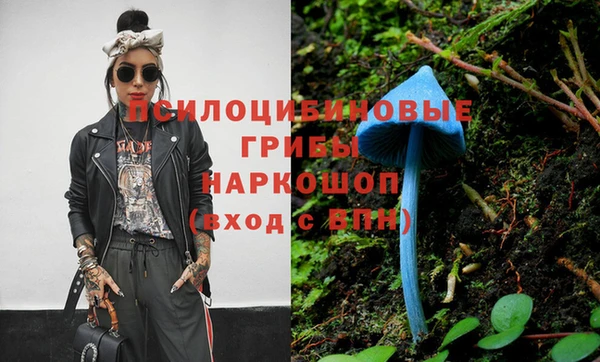 Альфа ПВП Сосновка
