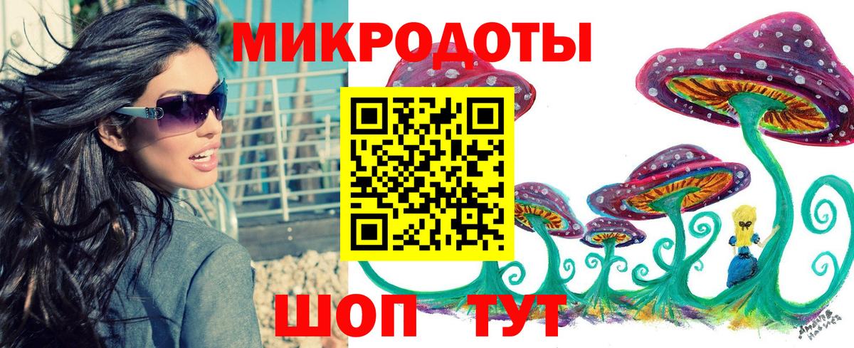 Галлюциногенные грибы Psilocybe Оренбург