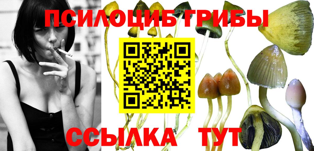 Псилоцибиновые грибы прущие грибы  где продают   Псилоцибиновые грибы прущие грибы  Оренбург  Вход с VPN 